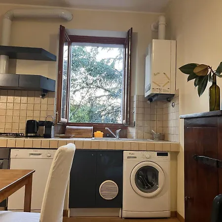 Cozy Nest Apartment