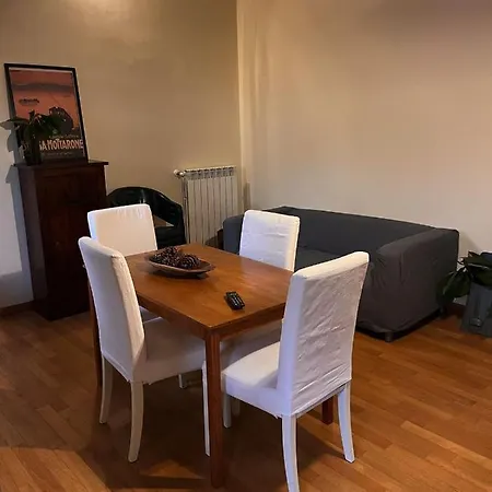Cozy Nest Apartment